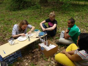 Four people sit around a wooden bench working on a research project outdoors